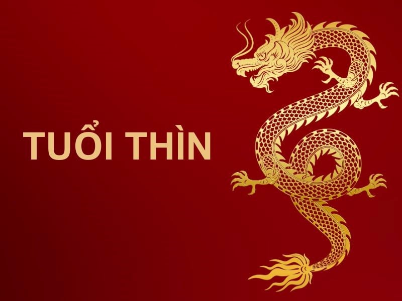 Thìn nổi tiếng bởi trí tuệ giỏi giang, minh mẫn