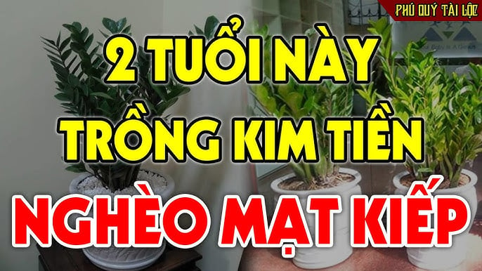 tuoi trong ⱪim tien ngheo mat ⱪiep