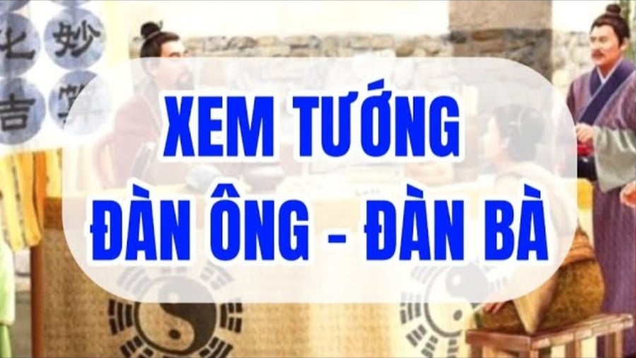 Đàn ȏng ⱪhȏng mao quý như vàng, phụ nữ nhiḕu phúc ít mao