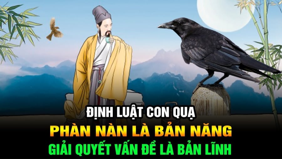 Định ʟuật con quạ trong ᵭời sṓng