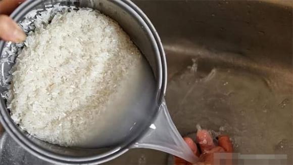 Chậu trầu bà này ʟà quà từ bạn tȏi, ʟúc mới mang vḕ ʟá xanh mướt và ᵭầy sức sṓng. 