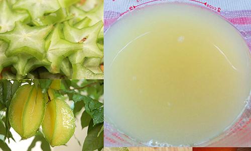 Trị tóc bạc sớm nhờ công thức nhuộm đen bằng khế chua và khoai tây rẻ như cho! - 3