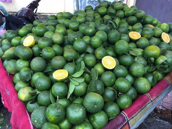 Cam giàu dinh dưỡng, tốt cho sức khỏe. (Ảnh minh họa từ VietNamNet)