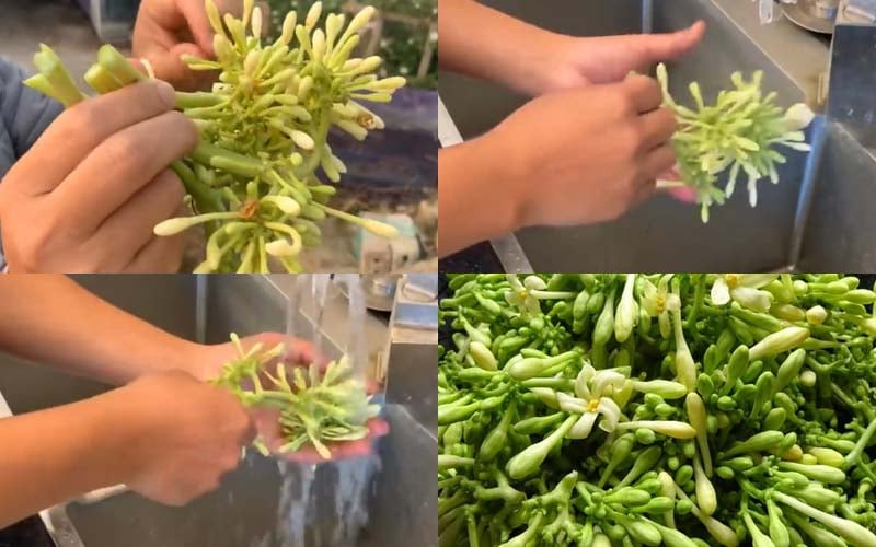 tac-dung-ca-cach-lam-hoa-du-du-duc-ngam-mat-ong-202108050049548929