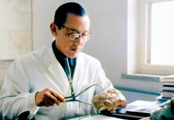 xoáy tóc, xoáy ᵭầu