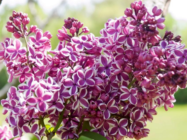 Mừng 3 con giáp đỏ nhất tháng 12, vạn sự hanh thông, khổ tận cam lai, tiền bạc rủng rỉnh, thậm chí nhân đôi tài, muốn gì được đó - Ảnh 3