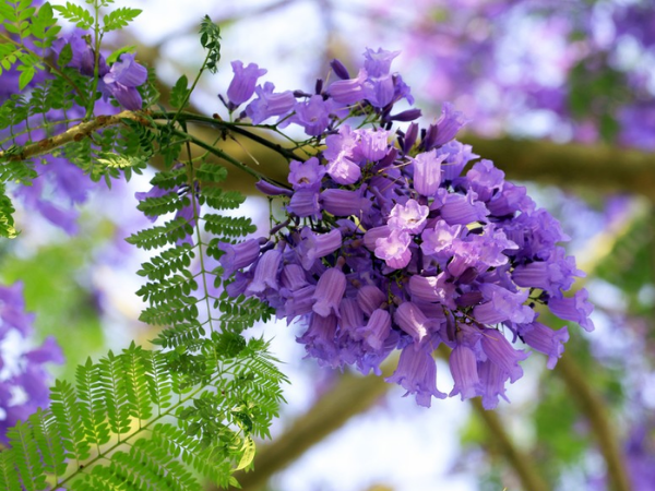 Mừng 3 con giáp đỏ nhất tháng 12, vạn sự hanh thông, khổ tận cam lai, tiền bạc rủng rỉnh, thậm chí nhân đôi tài, muốn gì được đó - Ảnh 2