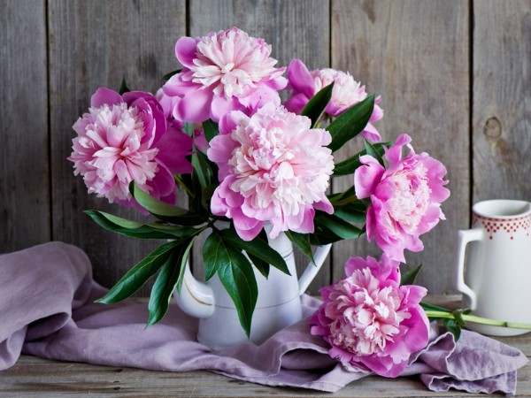 Qua đêm nay, 3 con giáp Mẹ Quan Âm che chở, Thần Tài nắm tay, thăng hoa sự nghiệp, mua nhà trong tích tắc, giàu lên nhanh chóng - Ảnh 3